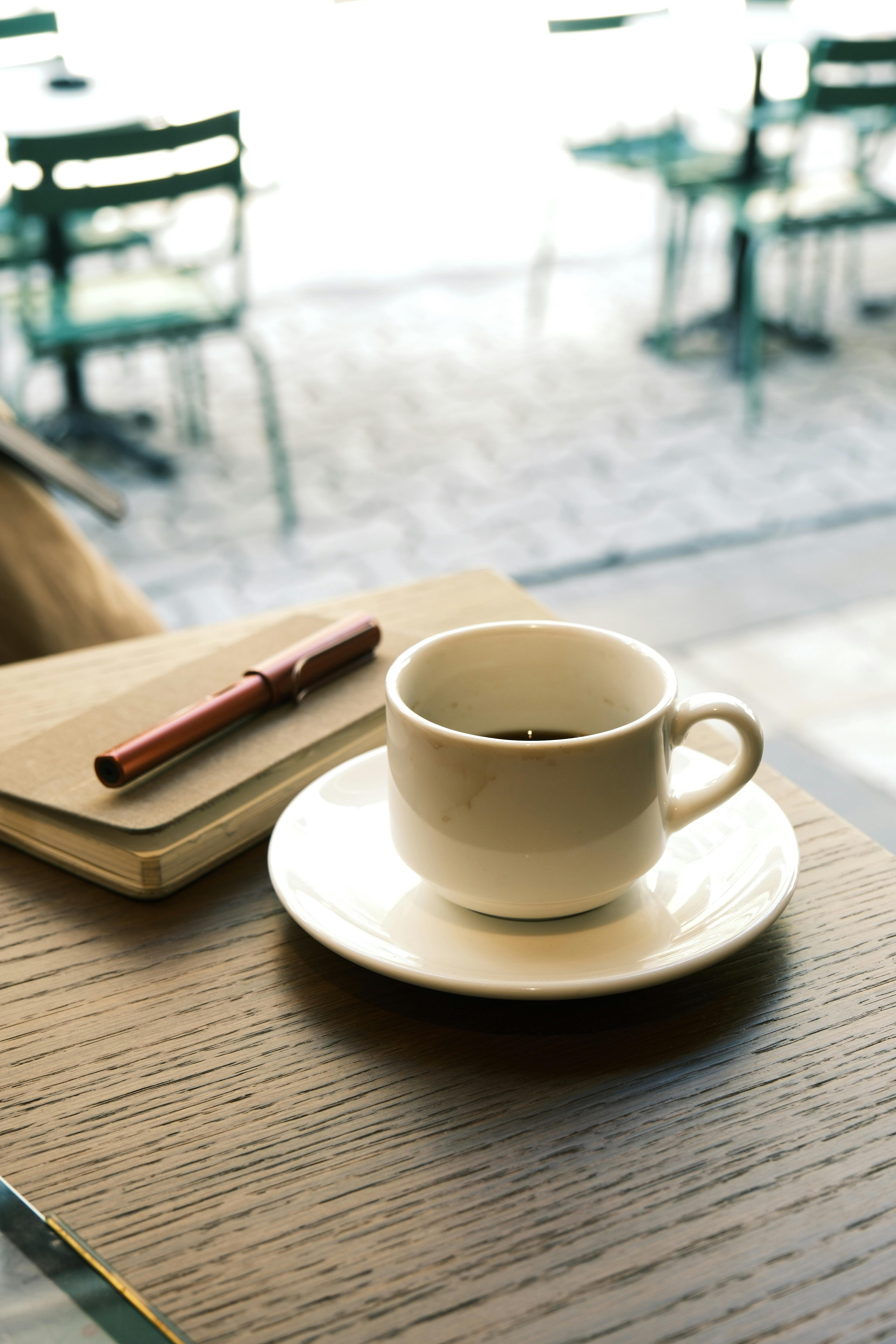 Professional Coach Photo